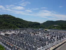 緑に囲まれた日当たりの良い霊園。